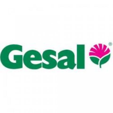 Gesal