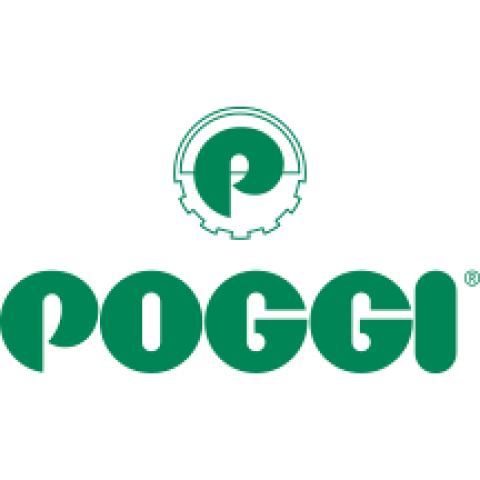 Poggi