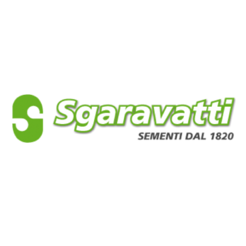 Sgaravatti